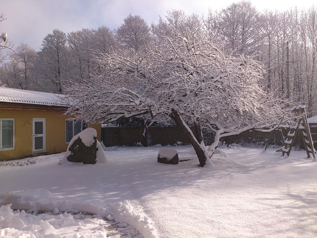 Ferienwohnungen Vidoni Bodensdorf Exterior foto